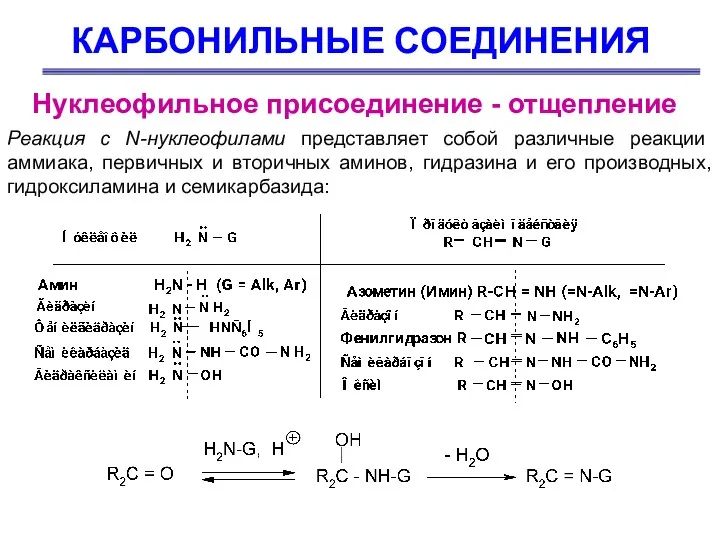 КАРБОНИЛЬНЫЕ СОЕДИНЕНИЯ Нуклеофильное присоединение - отщепление Реакция с N-нуклеофилами представляет