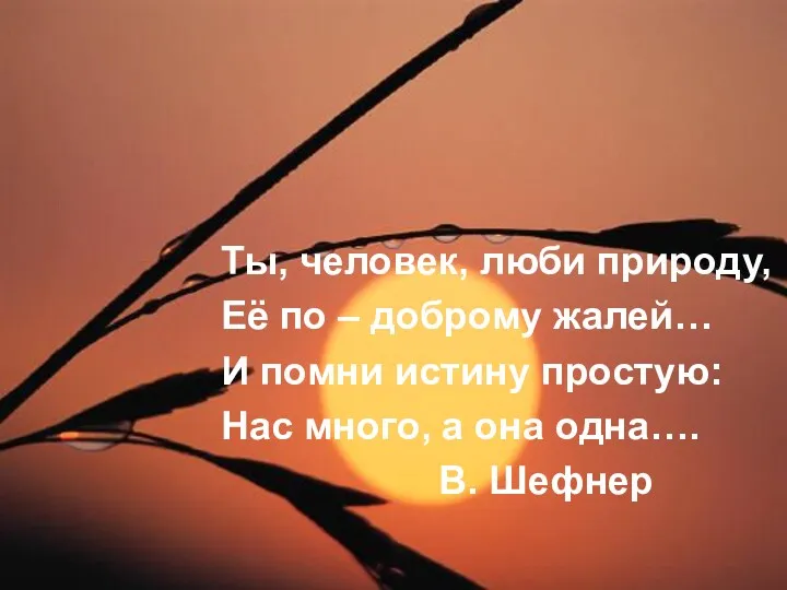 Ты, человек, люби природу, Её по – доброму жалей… И