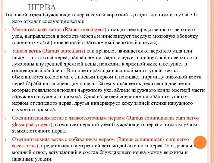 ГОЛОВНОЙ ОТДЕЛ БЛУЖДАЮЩЕГО НЕРВА Головной отдел блуждающего нерва самый короткий,