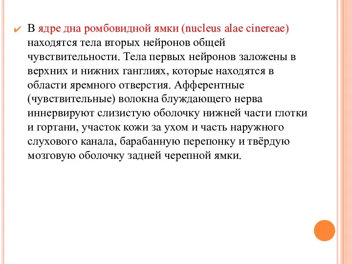 В ядре дна ромбовидной ямки (nucleus alae cinereae) находятся тела