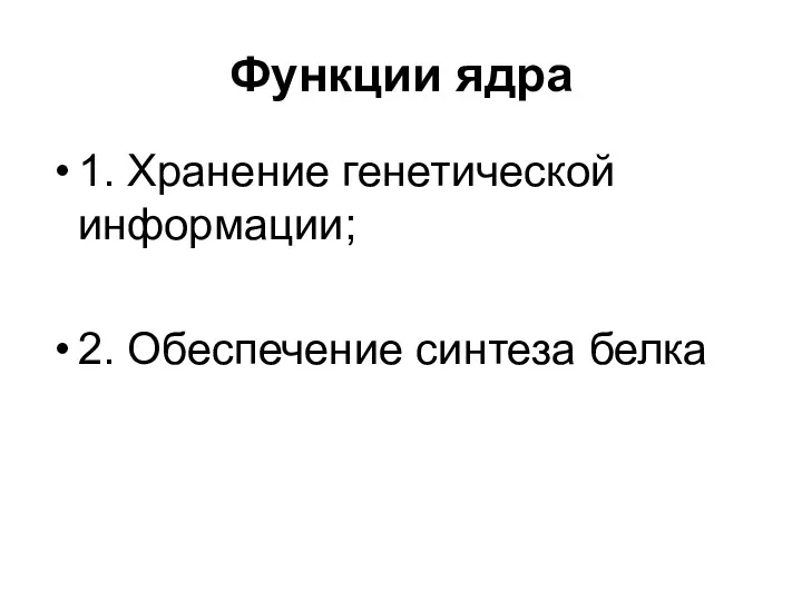 Функции ядра 1. Хранение генетической информации; 2. Обеспечение синтеза белка