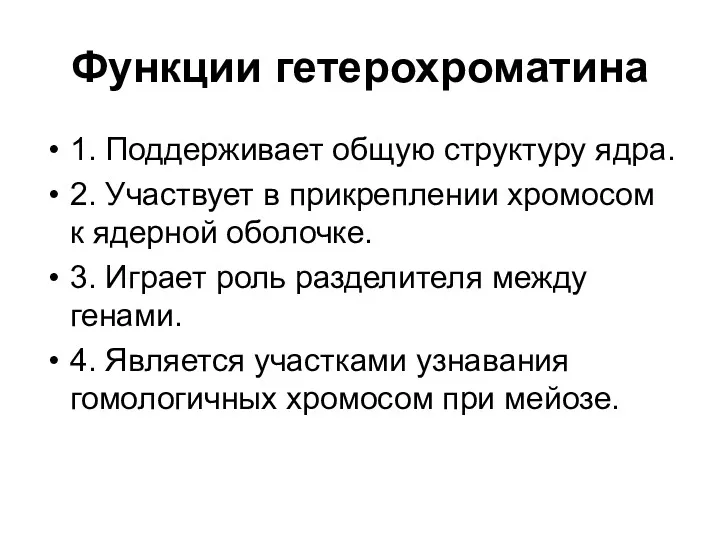 Функции гетерохроматина 1. Поддерживает общую структуру ядра. 2. Участвует в