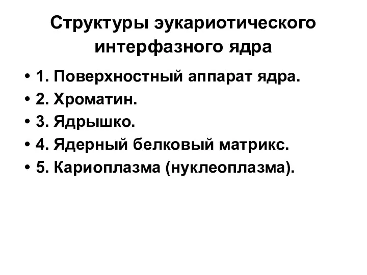 Структуры эукариотического интерфазного ядра 1. Поверхностный аппарат ядра. 2. Хроматин.