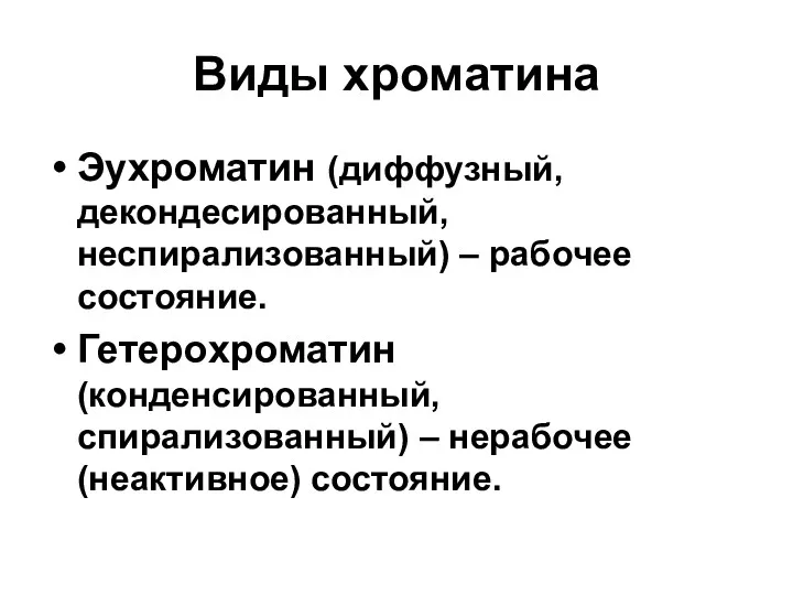 Виды хроматина Эухроматин (диффузный, декондесированный, неспирализованный) – рабочее состояние. Гетерохроматин (конденсированный, спирализованный) – нерабочее (неактивное) состояние.