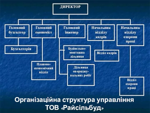 Організаційна структура управління ТОВ «Райсільбуд»