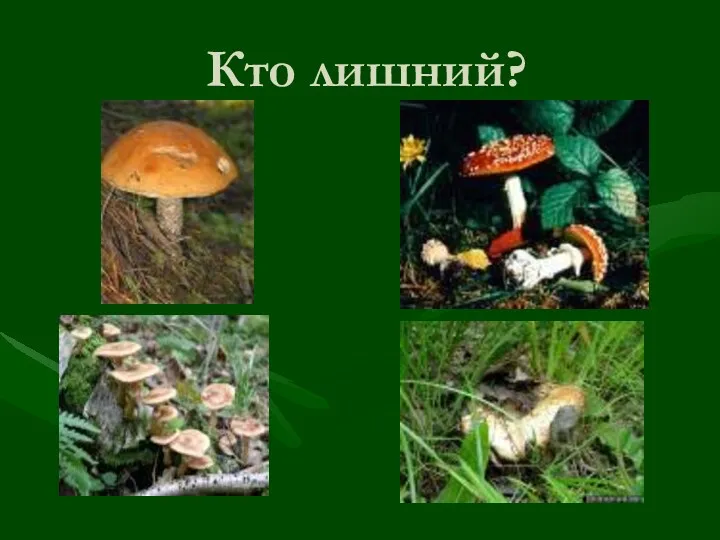 Кто лишний?