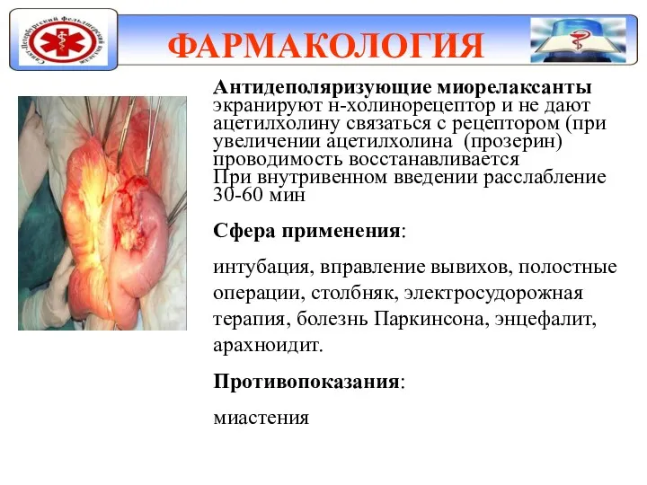 ФАРМАКОЛОГИЯ Антидеполяризующие миорелаксанты экранируют н-холинорецептор и не дают ацетилхолину связаться