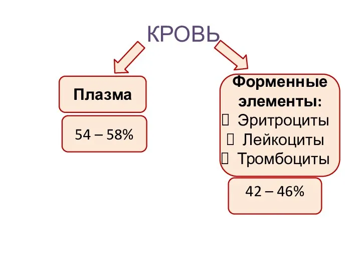 КРОВЬ Плазма Форменные элементы: Эритроциты Лейкоциты Тромбоциты 54 – 58% 42 – 46%