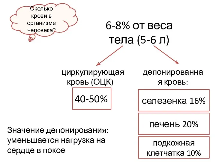 Сколько крови в организме человека? 6-8% от веса тела (5-6