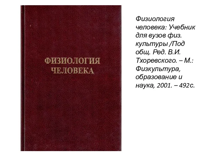 Физиология человека: Учебник для вузов физ.культуры /Под общ. Ред. В.И.Тхоревского.