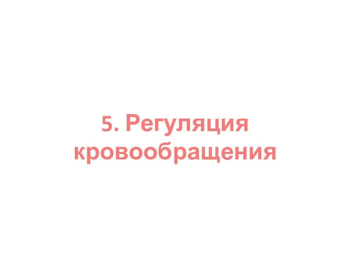 5. Регуляция кровообращения