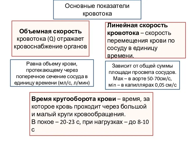 Объемная скорость кровотока (Q) отражает кровоснабжение органов Равна объему крови,