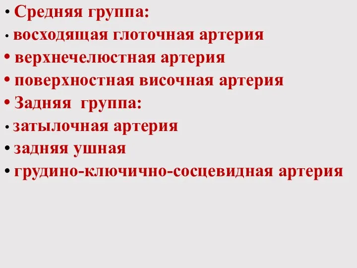 Средняя группа: восходящая глоточная артерия верхнечелюстная артерия поверхностная височная артерия