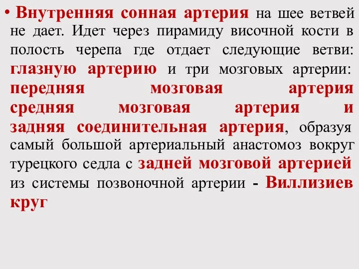 Внутренняя сонная артерия на шее ветвей не дает. Идет через