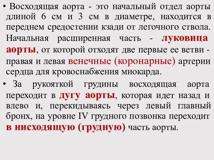 Восходящая аорта - это начальный отдел аорты длиной 6 см