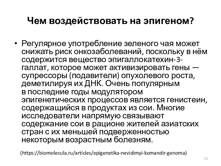 Чем воздействовать на эпигеном? Регулярное употребление зеленого чая может снижать