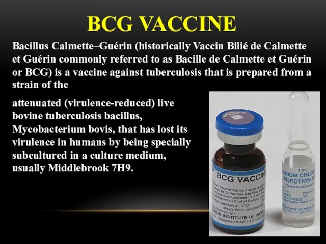 BCG VACCINE attenuated (virulence-reduced) live bovine tuberculosis bacillus, Mycobacterium bovis,