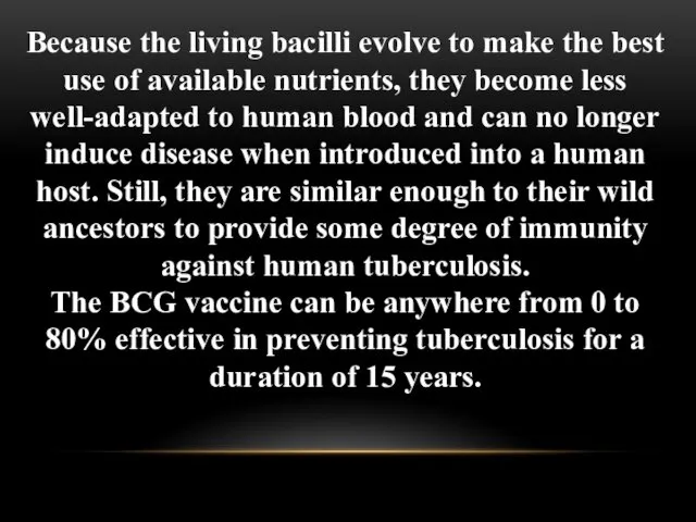 Because the living bacilli evolve to make the best use
