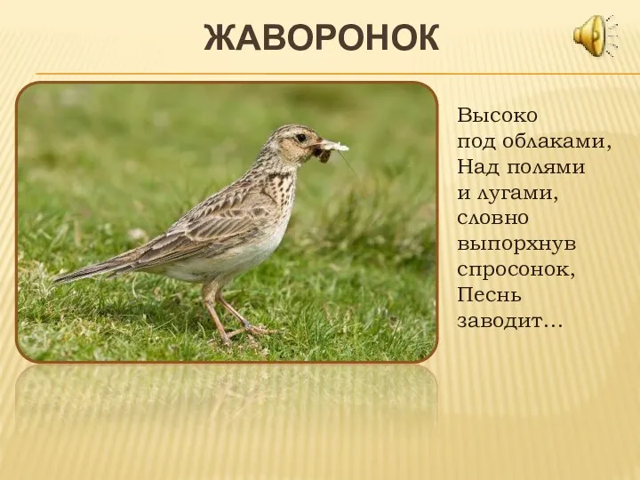 ЖАВОРОНОК Высоко под облаками, Над полями и лугами, словно выпорхнув спросонок, Песнь заводит…