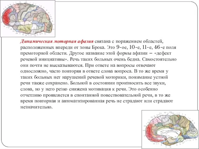 Динамическая моторная афазия связана с поражением областей, расположенных впереди от