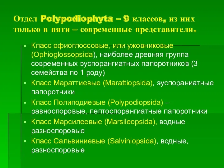 Отдел Polypodiophyta – 9 классов, из них только в пяти