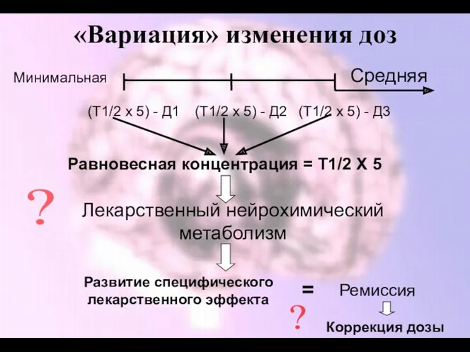 «Вариация» изменения доз Минимальная Средняя Равновесная концентрация = Т1/2 Х