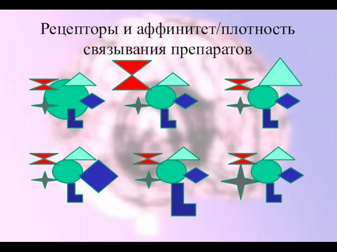 Рецепторы и аффинитет/плотность связывания препаратов