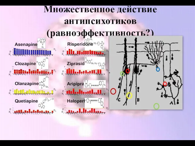 Множественное действие антипсихотиков (равноэффективность?)