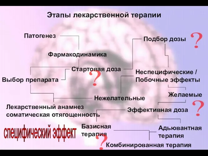 Этапы лекарственной терапии Патогенез Фармакодинамика Лекарственный анамнез соматическая отягощенность Выбор