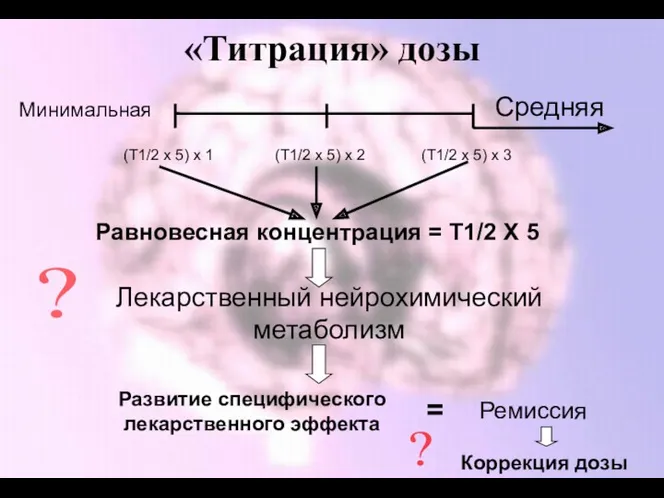 «Титрация» дозы Минимальная Средняя Равновесная концентрация = Т1/2 Х 5