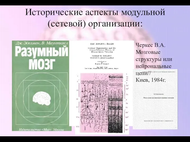 Исторические аспекты модульной (сетевой) организации: Черкес В.А. Мозговые структуры или нейрональные цепи// Киев, 1984г.