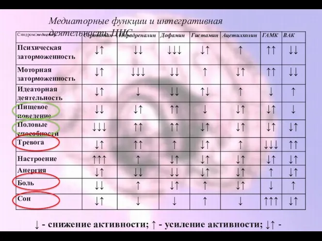 Медиаторные функции и интегративная деятельность ЦНС ↓ - снижение активности;