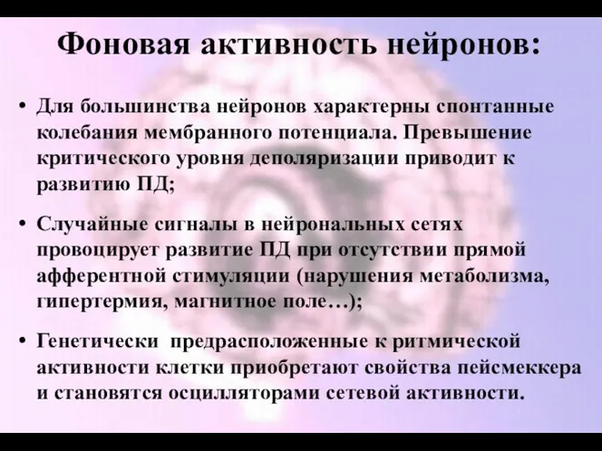 Фоновая активность нейронов: Для большинства нейронов характерны спонтанные колебания мембранного