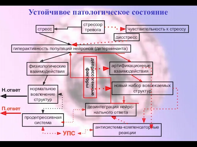 Устойчивое патологическое состояние стрессор тревога стресс дисстресс гиперактивность популяций нейронов