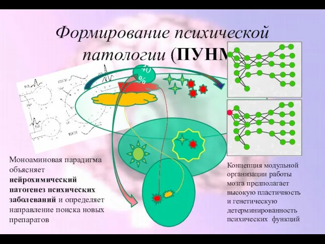 Формирование психической патологии (ПУНМ) Моноаминовая парадигма объясняет нейрохимический патогенез психических