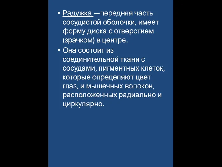 Радужка —передняя часть сосудистой оболочки, имеет форму диска с отверстием