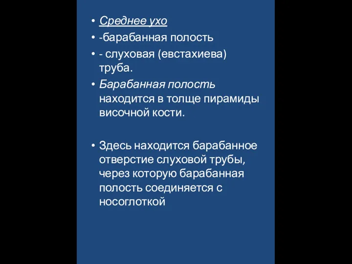 Среднее ухо -барабанная полость - слуховая (евстахиева) труба. Барабанная полость находится в толще