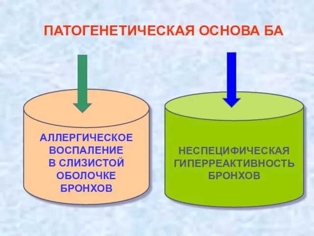 ПАТОГЕНЕТИЧЕСКАЯ ОСНОВА БА АЛЛЕРГИЧЕСКОЕ ВОСПАЛЕНИЕ В СЛИЗИСТОЙ ОБОЛОЧКЕ БРОНХОВ НЕСПЕЦИФИЧЕСКАЯ ГИПЕРРЕАКТИВНОСТЬ БРОНХОВ