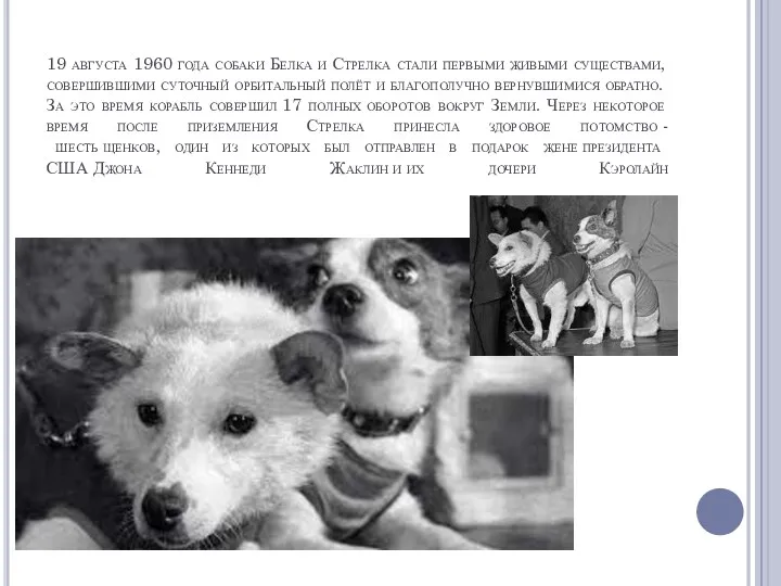 19 августа 1960 года собаки Белка и Стрелка стали первыми