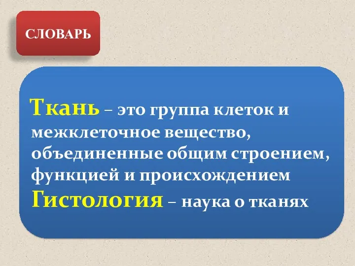 СЛОВАРЬ Ткань – это группа клеток и межклеточное вещество, объединенные