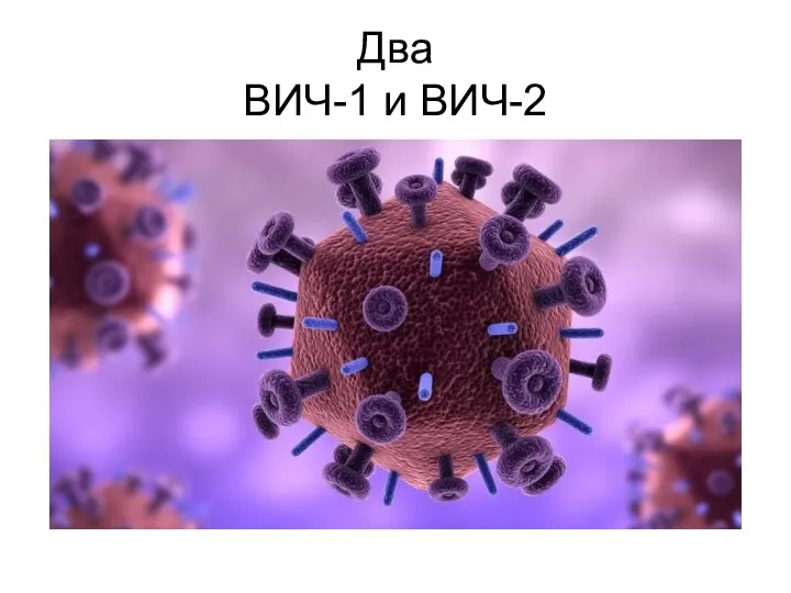 Два ВИЧ-1 и ВИЧ-2