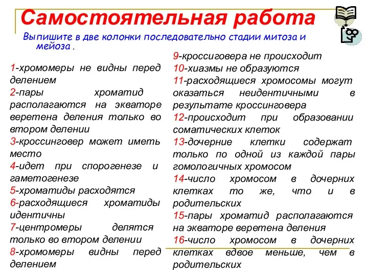 Самостоятельная работа Выпишите в две колонки последовательно стадии митоза и мейоза . 1-хромомеры