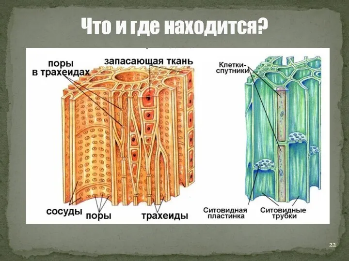 Что и где находится?