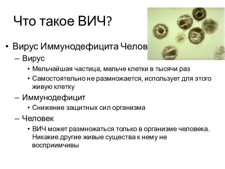 Что такое ВИЧ? Вирус Иммунодефицита Человека Вирус Мельчайшая частица, мельче