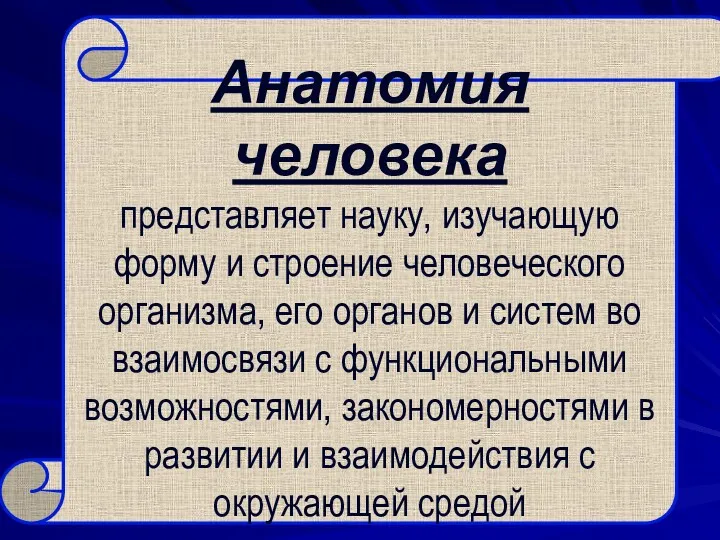 Анатомия человека представляет науку, изучающую форму и строение человеческого организма,