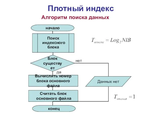 Плотный индекс Алгоритм поиска данных Поиск индексного блока Блок существует