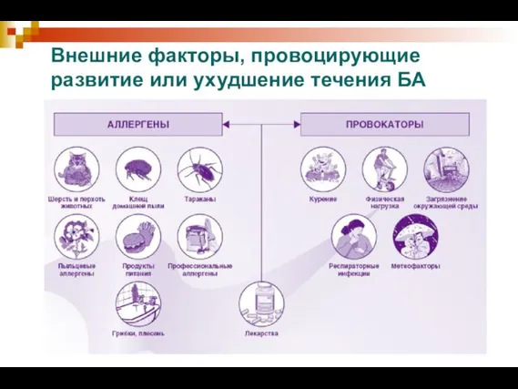 Внешние факторы, провоцирующие развитие или ухудшение течения БА