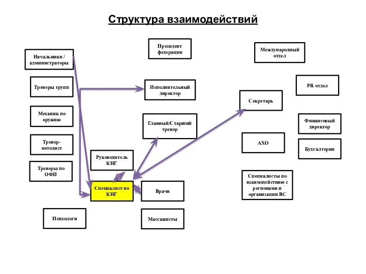 Структура взаимодействий Президент федерации Международный отдел Начальники / администраторы Исполнительный