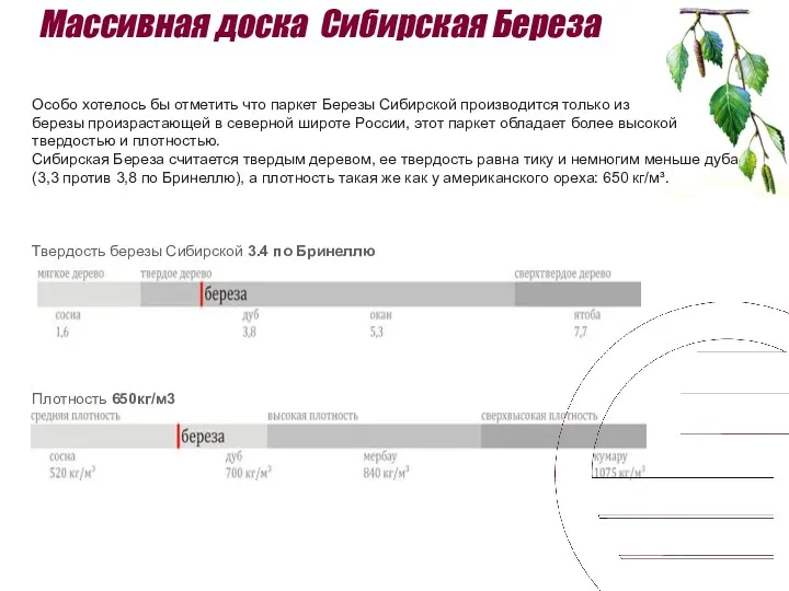Массивная доска Сибирская Береза Особо хотелось бы отметить что паркет Березы Сибирской производится