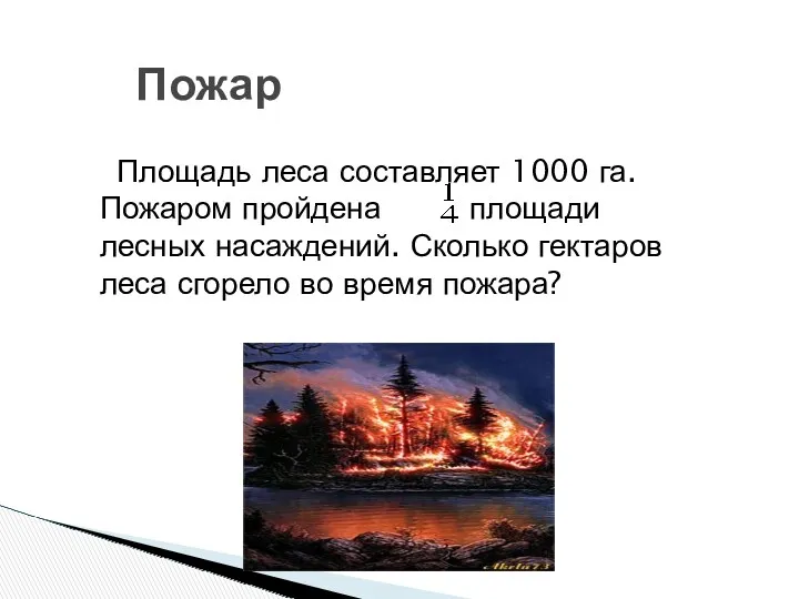 Пожар Площадь леса составляет 1000 га. Пожаром пройдена площади лесных